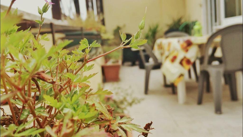 Apartamento Girasolereale *